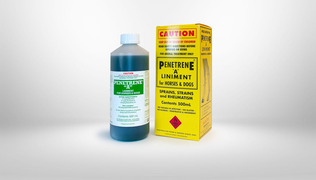 Horse & Dog Liniment for Sprains, Strains & Joint Pain | Penetrene "A" 500mL